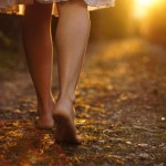 A Menina e os Blogs - Uma História